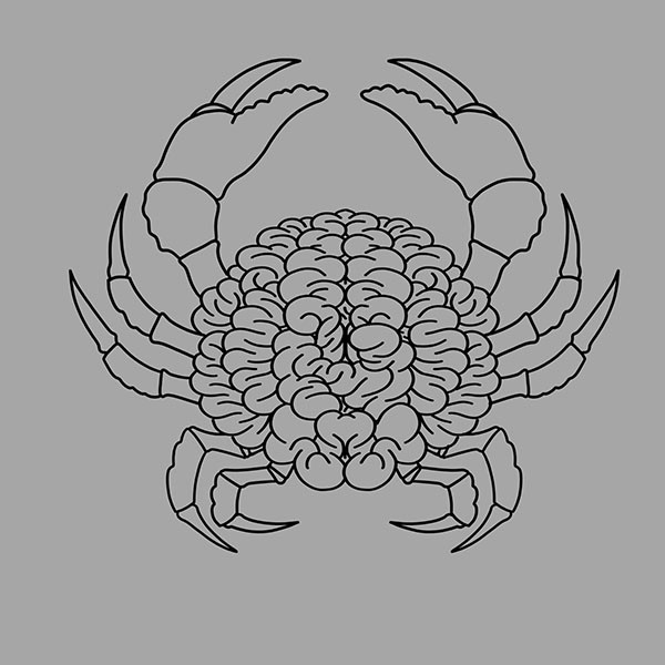 DETO BRIXEN Blog Brain Crab Clean Line Image - Our Design Process