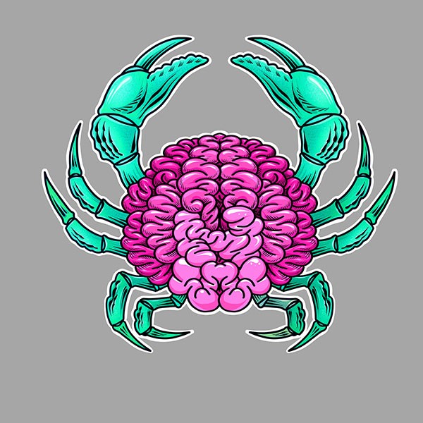 DETO BRIXEN Blog Brain Crab Colored Final Image - Our Design Process